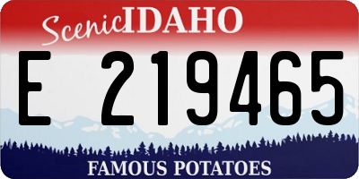 ID license plate E219465