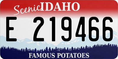 ID license plate E219466