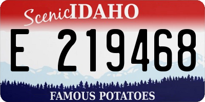 ID license plate E219468