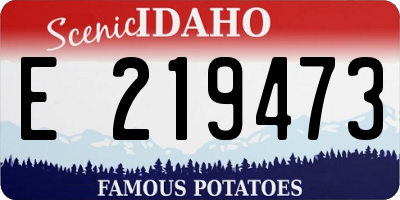 ID license plate E219473