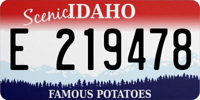 ID license plate E219478