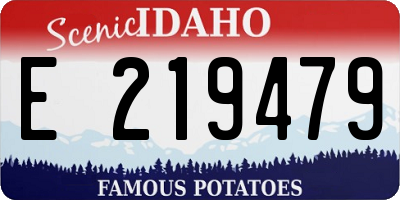 ID license plate E219479