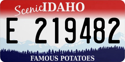 ID license plate E219482