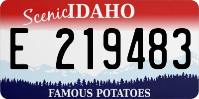 ID license plate E219483