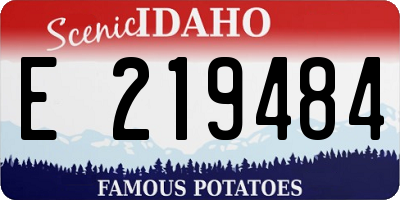 ID license plate E219484