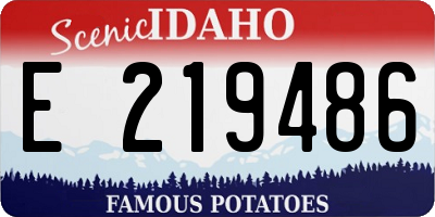 ID license plate E219486