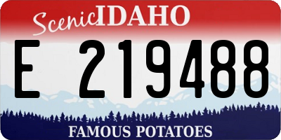 ID license plate E219488