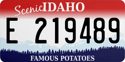 ID license plate E219489