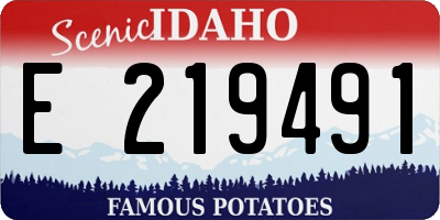 ID license plate E219491