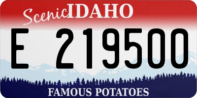 ID license plate E219500