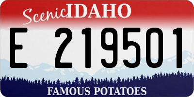 ID license plate E219501