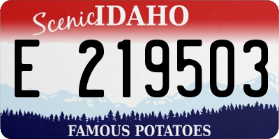 ID license plate E219503