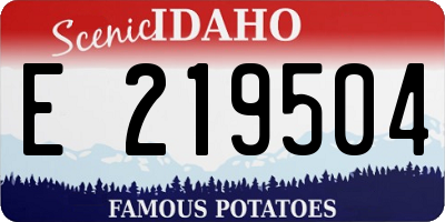 ID license plate E219504