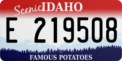ID license plate E219508