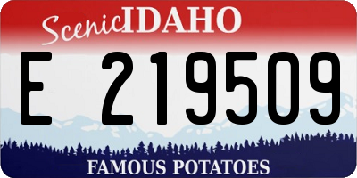 ID license plate E219509