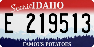 ID license plate E219513