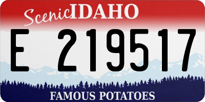 ID license plate E219517