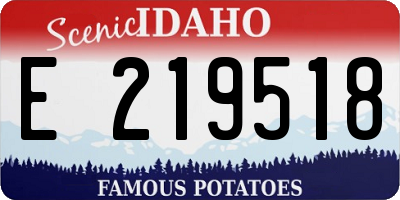 ID license plate E219518