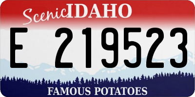 ID license plate E219523