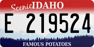 ID license plate E219524
