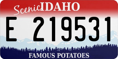 ID license plate E219531