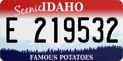 ID license plate E219532