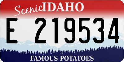 ID license plate E219534