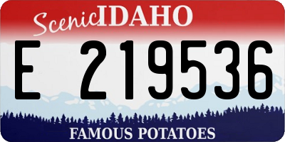 ID license plate E219536