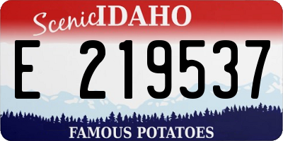 ID license plate E219537