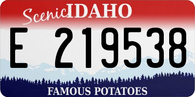 ID license plate E219538