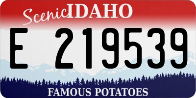 ID license plate E219539