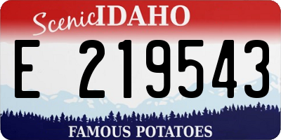 ID license plate E219543