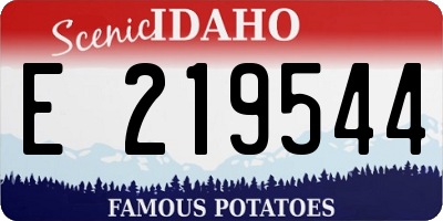 ID license plate E219544