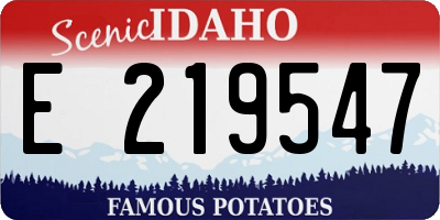 ID license plate E219547