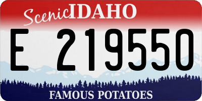 ID license plate E219550