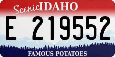 ID license plate E219552