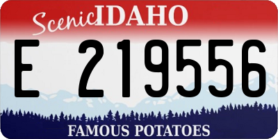 ID license plate E219556