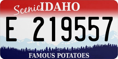 ID license plate E219557