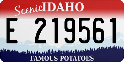 ID license plate E219561