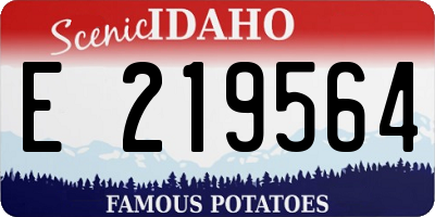 ID license plate E219564