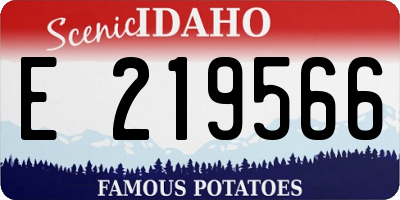 ID license plate E219566