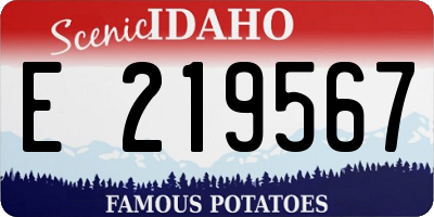 ID license plate E219567