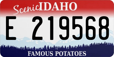 ID license plate E219568