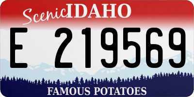 ID license plate E219569