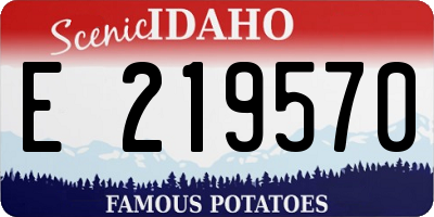 ID license plate E219570