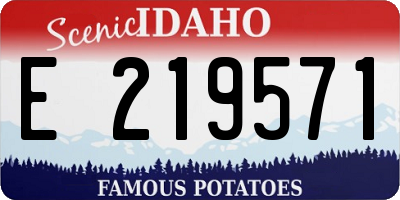 ID license plate E219571
