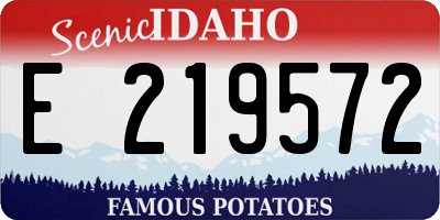 ID license plate E219572