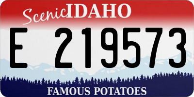ID license plate E219573