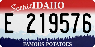 ID license plate E219576