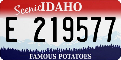 ID license plate E219577